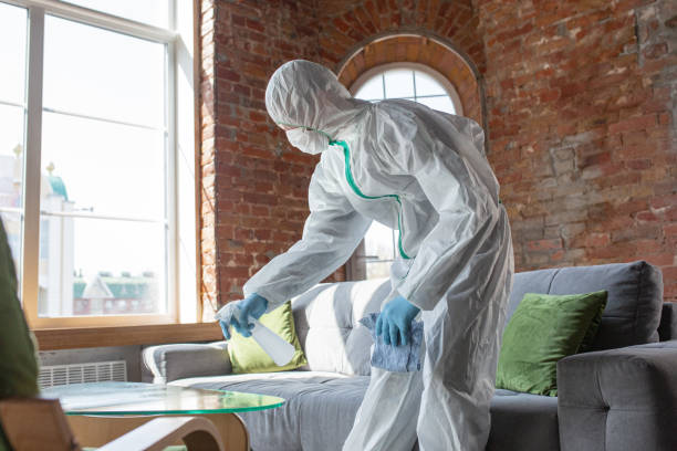 Best Forensic Mold Investigation in USA